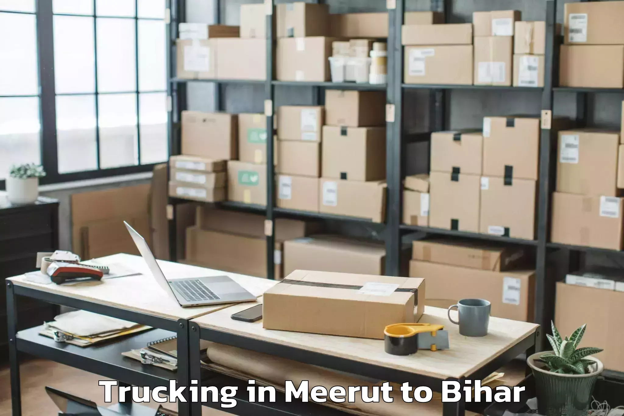 Top Meerut to Meskaur Trucking Available